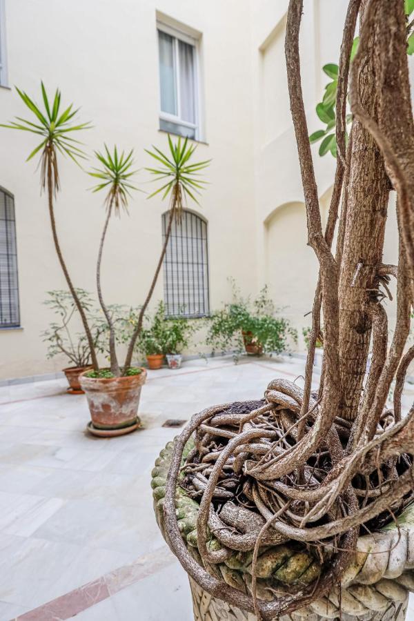 Chic&Luminoso-Wifiac/Elegant Apt In Salvador 2 Br Sevilla Exteriér fotografie